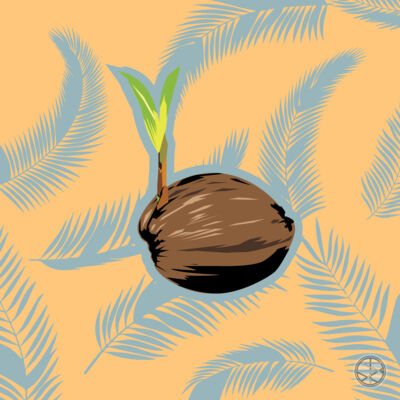 Polynesian Collection Thumbnail